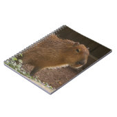 Capybara Notizblock (Linke Seite)