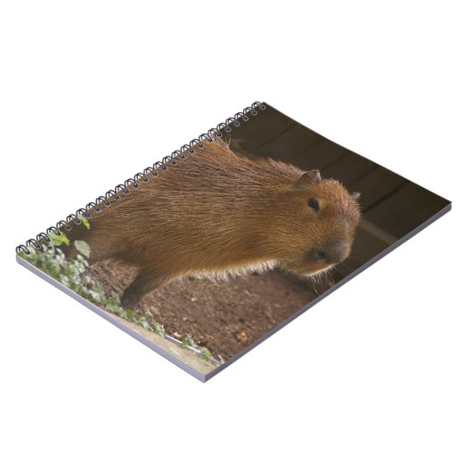 Capybara Notizblock (Linke Seite)