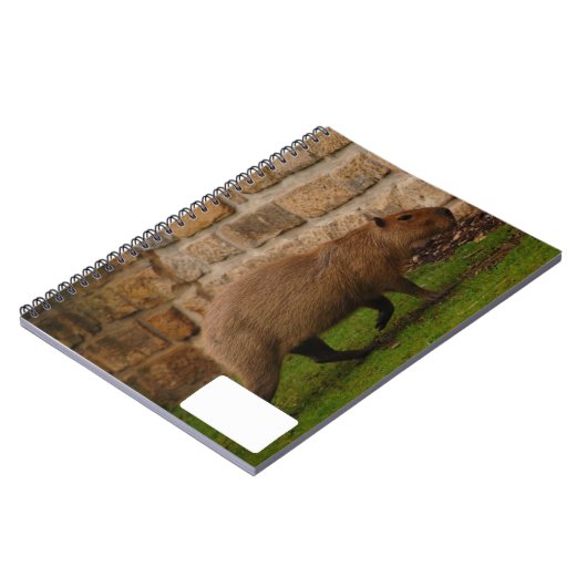 Capybara Notizblock (Linke Seite)
