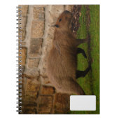 Capybara Notizblock (Vorderseite)