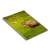 Capybara Notizblock (Rechte Seite)