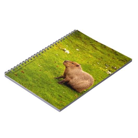 Capybara Notizblock (Linke Seite)