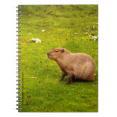 Capybara Notizblock (Vorderseite)