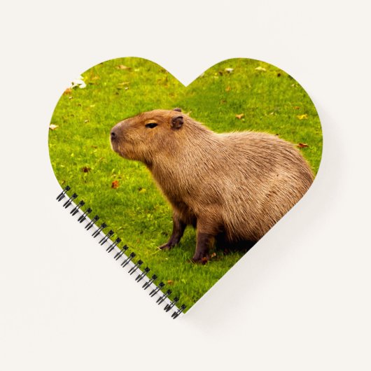 Capybara Notizblock (Vorderseite)