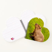 Capybara Notizblock (Innenseite)