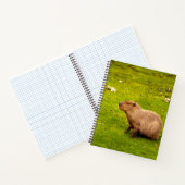 Capybara Notizblock (Innenseite)