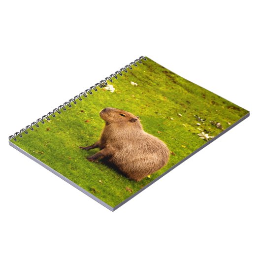 Capybara Notizblock (Linke Seite)