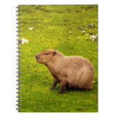 Capybara Notizblock (Vorderseite)