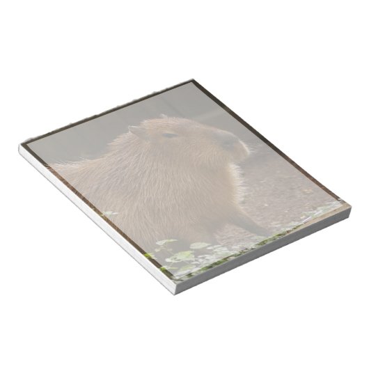 Capybara Notizblock (angewinkelt)