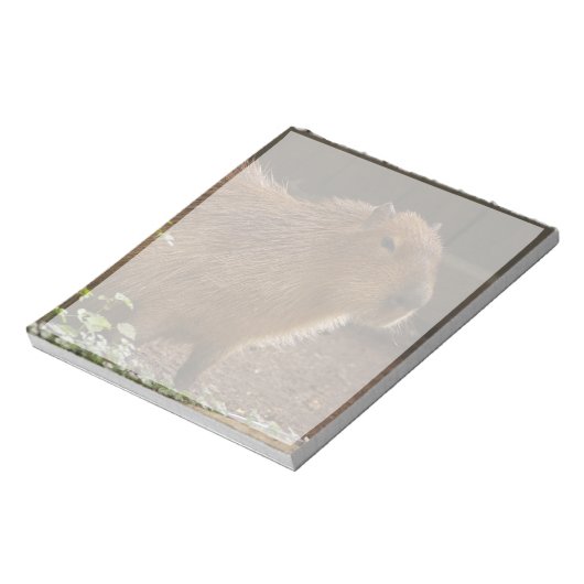 Capybara Notizblock (Rotiert)