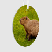 Capybara Ornament (Vorderseite)