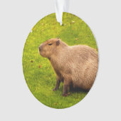 Capybara Ornament (Vorderseite)