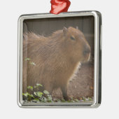 Capybara Ornament Aus Metall (Links)