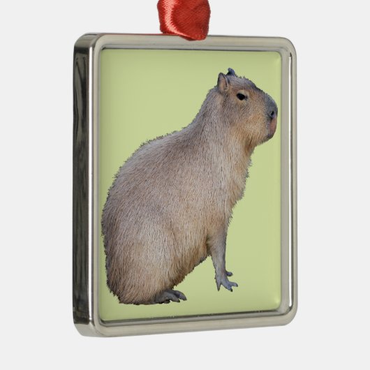Capybara Ornament Aus Metall (Rechts)