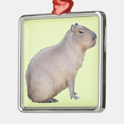 Capybara Ornament Aus Metall (Links)