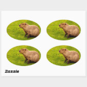 Capybara Ovaler Aufkleber (Blatt)