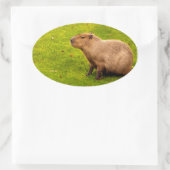 Capybara Ovaler Aufkleber (Tasche)