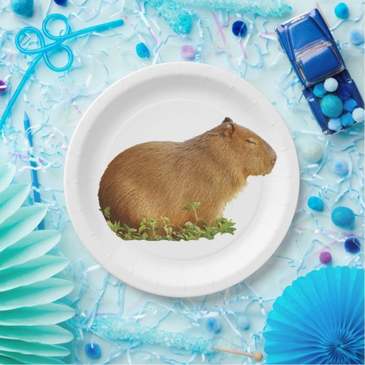 capybara paper plate pappteller (Party)