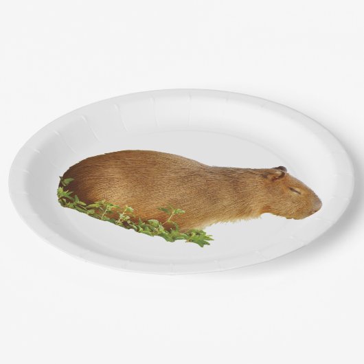 capybara paper plate pappteller (Schrägansicht)