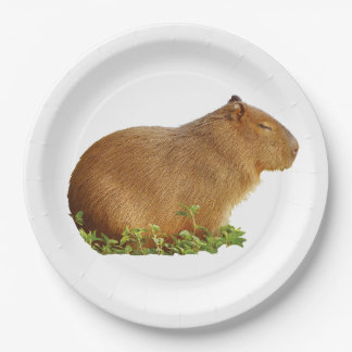 capybara paper plate pappteller