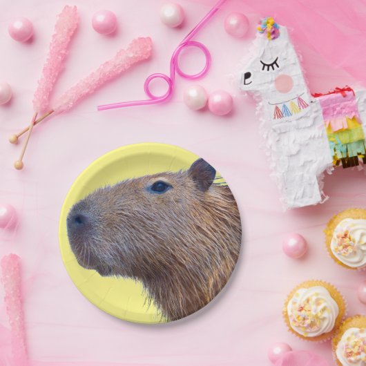 Capybara Pappteller (Party)
