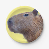 Capybara Pappteller (Vorderseite)