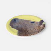 Capybara Pappteller (Schrägansicht)