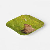 Capybara Pappteller (Gewinkelt)