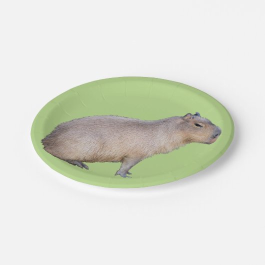 Capybara Pappteller (Schrägansicht)