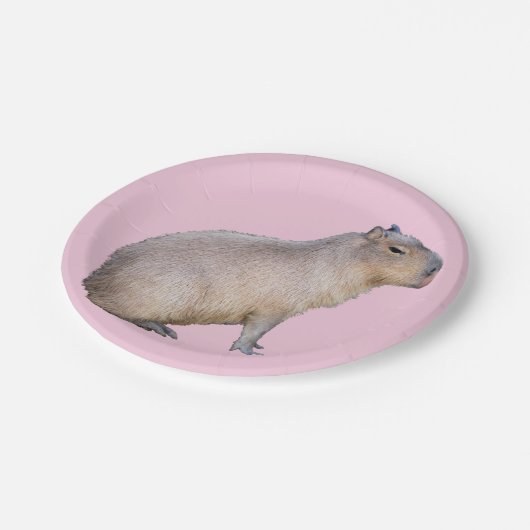 Capybara Pappteller (Schrägansicht)