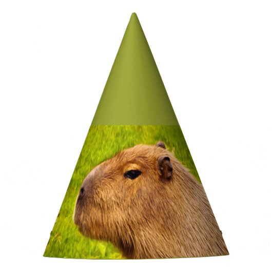 Capybara Partyhütchen (Vorderseite)
