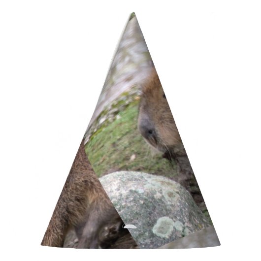 Capybara Partyhütchen (Links)