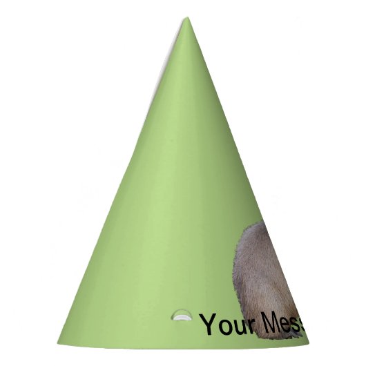 Capybara Partyhütchen (Links)