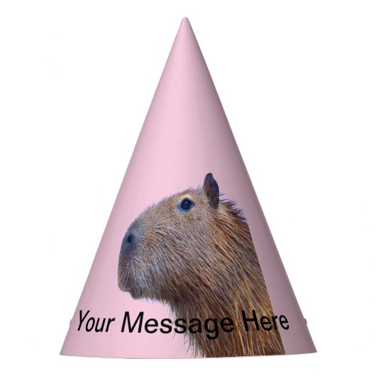 Capybara Partyhütchen (Vorderseite)