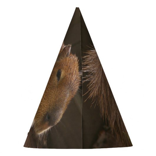 Capybara Partyhütchen (Rückseite)