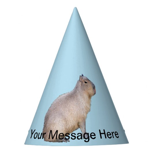 Capybara Partyhütchen (Vorderseite)