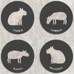 Capybara Personalisiert Untersetzer Set<br><div class="desc">Ein lustiges Capybara Design für Tierfreunde. Ändern Sie die Namen oder fügen Sie Ihren eigenen Text zu personalisieren. Originelle Kunst von Nic Squirrell.</div>