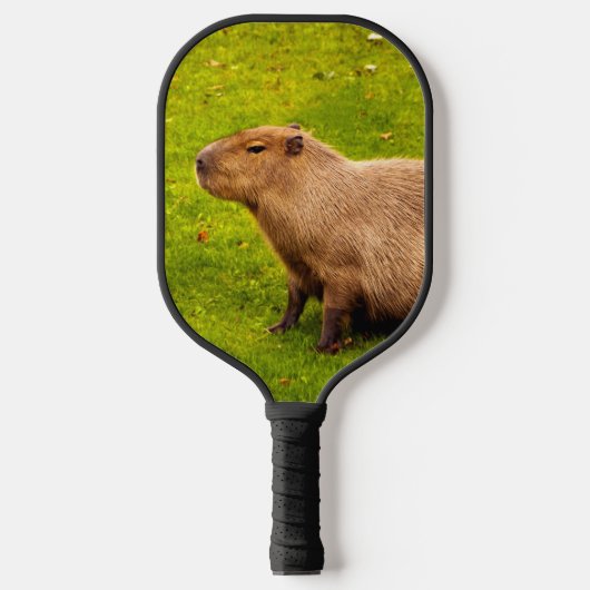 Capybara Pickleball Schläger (Vorderseite)
