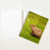 Capybara Planer (Anzeige)