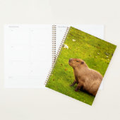 Capybara Planer (Anzeige)