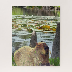 Capybara - Pneumatophoren - Wildtiere Puzzle