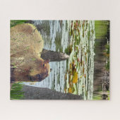 Capybara - Pneumatophoren - Wildtiere Puzzle (Horizontal)