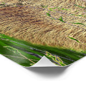 Capybara - Pneumatophores - Wildlife Poster (Ecke)