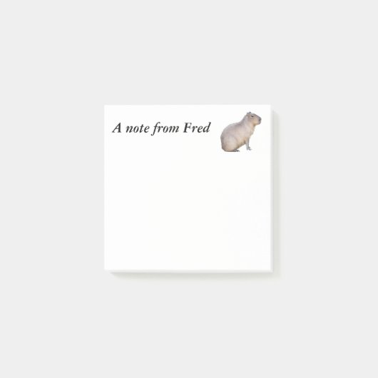 Capybara Post-it Klebezettel (Vorderseite)