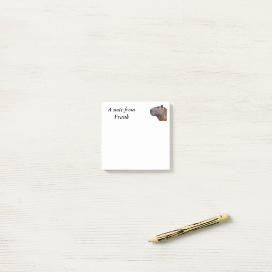 Capybara Post-it Klebezettel (Auf Schreibtisch)