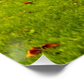 Capybara Poster (Ecke)