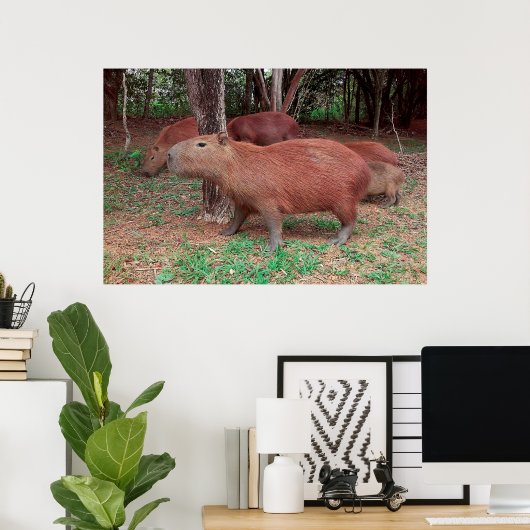 Capybara Poster (Heimbüro)