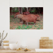Capybara Poster (Küche)