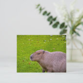Capybara Postkarte (Stehend Vorderseite)