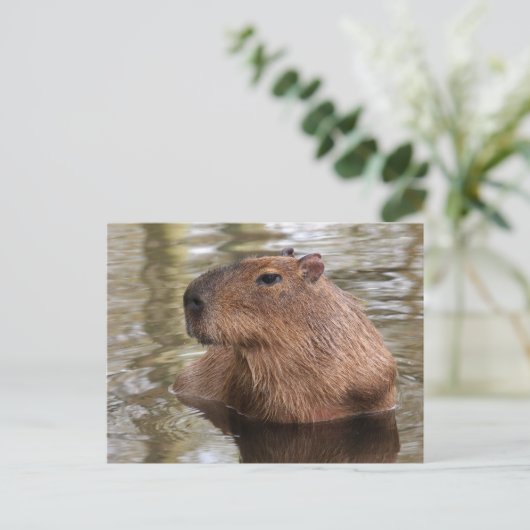 Capybara Postkarte (Stehend Vorderseite)